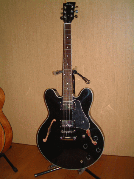 セミアコ ギター Tony Smith トニー スミス SA420BK