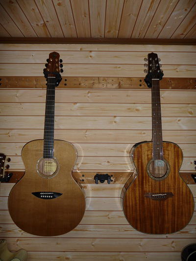 アコギ SAMICK Greg Bennett TAJ－1