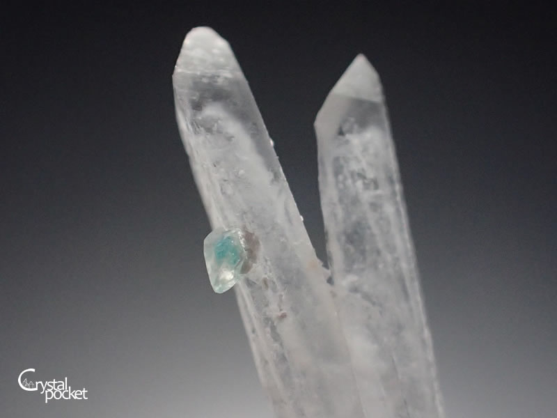 HENMILITE PENTAHYDROBORITE 逸見石 五水灰硼石 布賀鉱山 - クリスタル