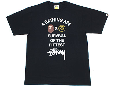 A BATHING APE×STUSSY 'SURVIVAL OF THE FITTED'Tシャツ BAPE エイプ