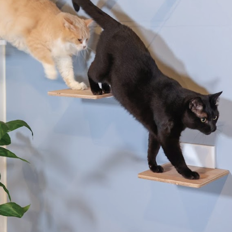 キャットステップキット | 日本製猫用品、グッズの専門通販は