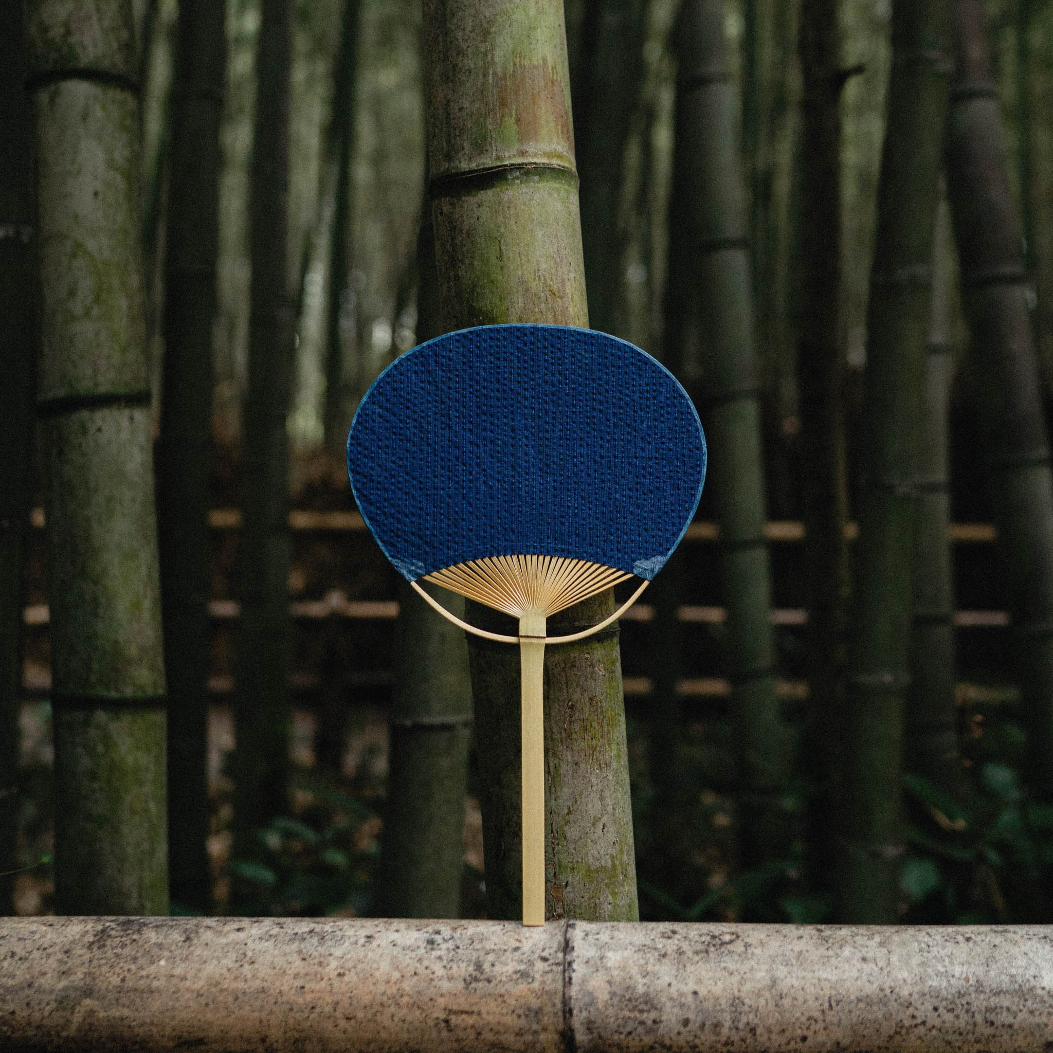丸亀うちわ | 藍染 | しじら織り 濃紺 | うちわ屋 涼
