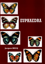 アフリカの蝶類 関連書籍