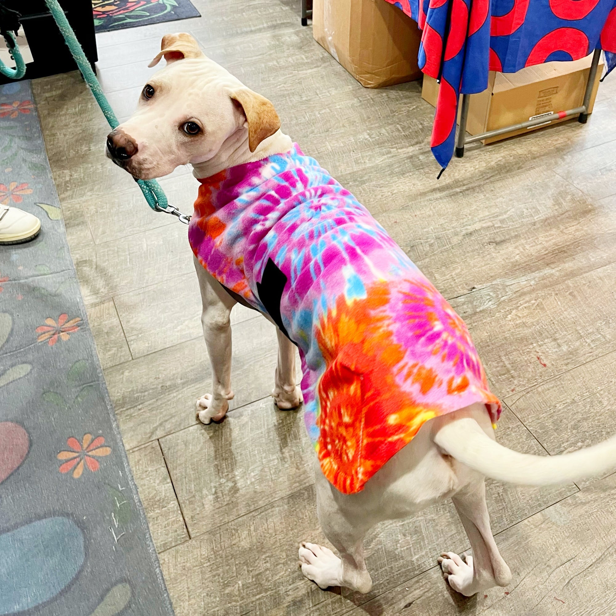 SnugPupsTieDyeFleeceDogCoat.