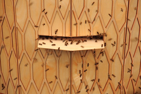 都会の中心に巨大ミツバチの巣が登場！ノルウェー発、建築家集団が