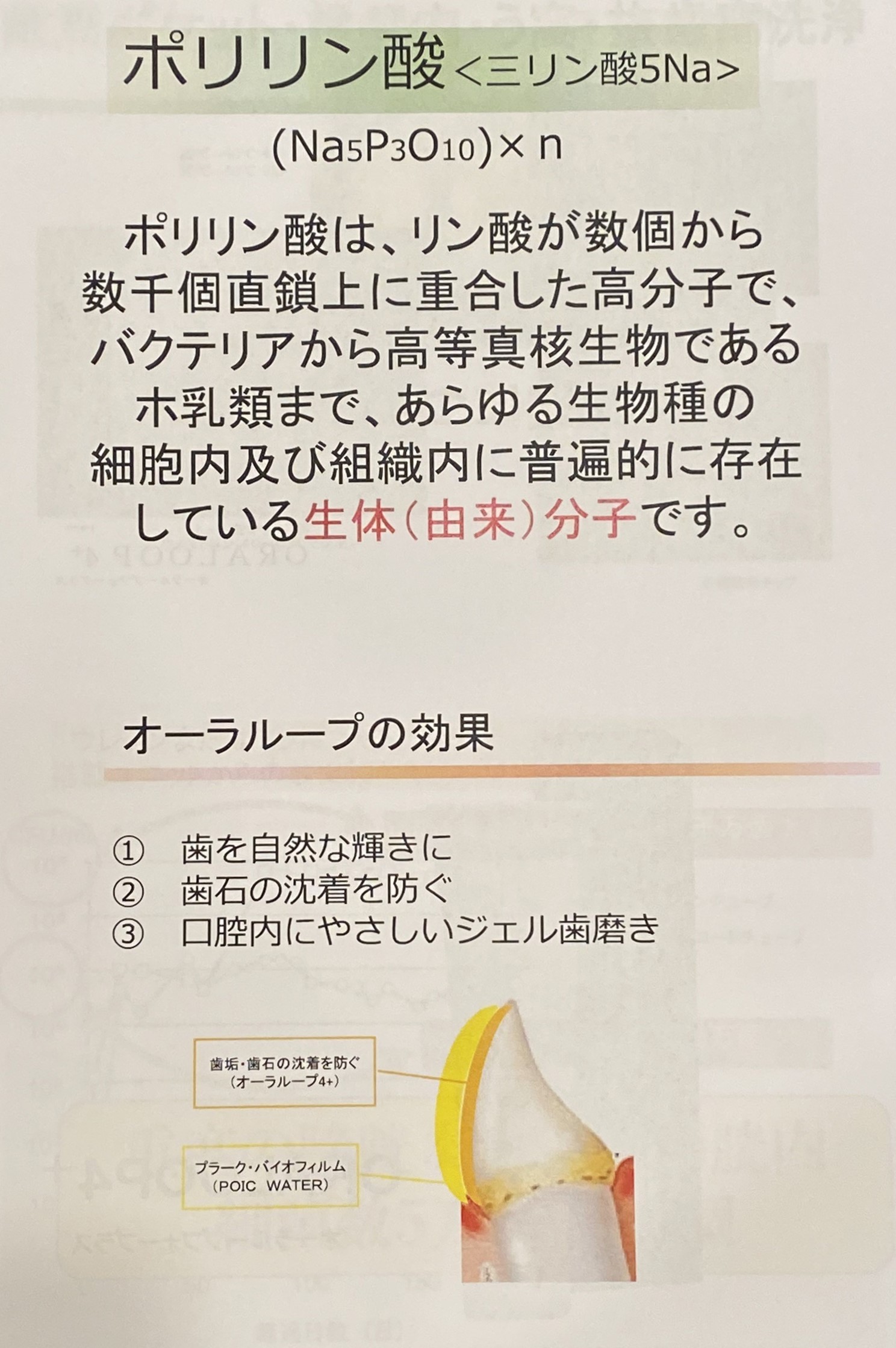 オーラループ4+ - はらだ歯科