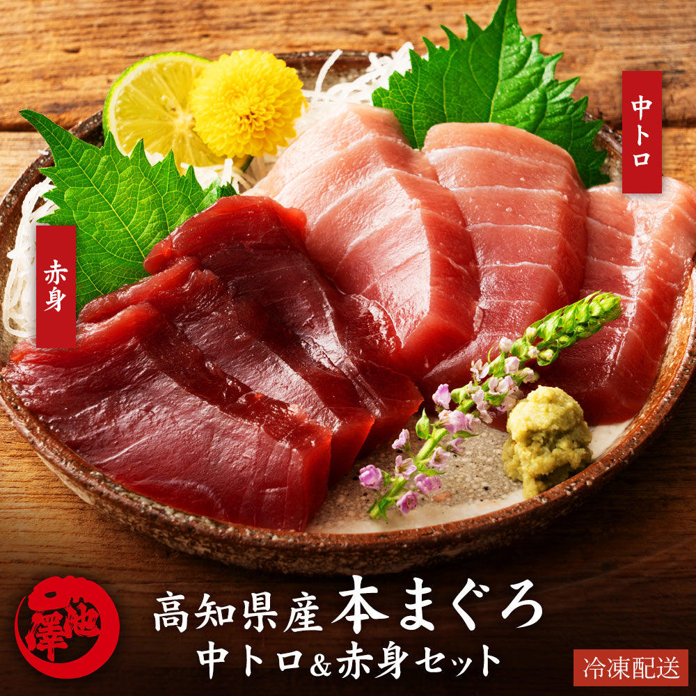 高知県産 一極 本まぐろ 中トロ 赤身 食べ比べセット – 池澤鮮魚