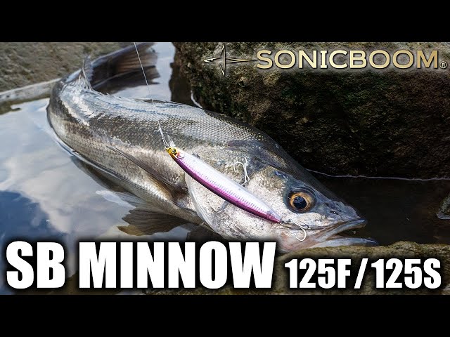 ソニックブーム® SBミノー - 釣具の総合メーカー デュエル