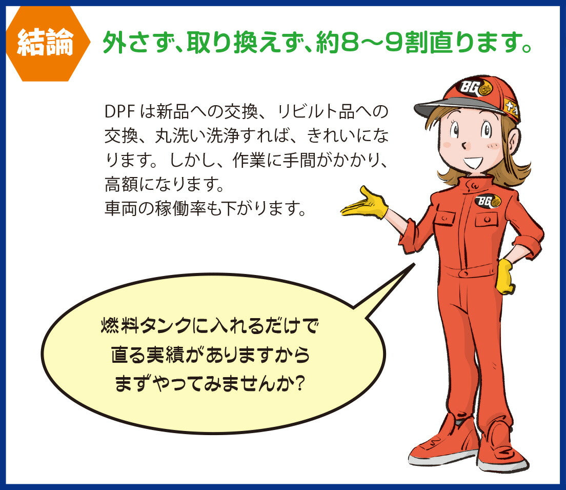 BG Products BG23232 ディーゼルケア DFCプラスHP 946ml 軽油