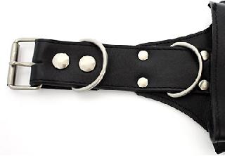 666 スウェディッシュ・バンダリア(カオス・ポーチ)