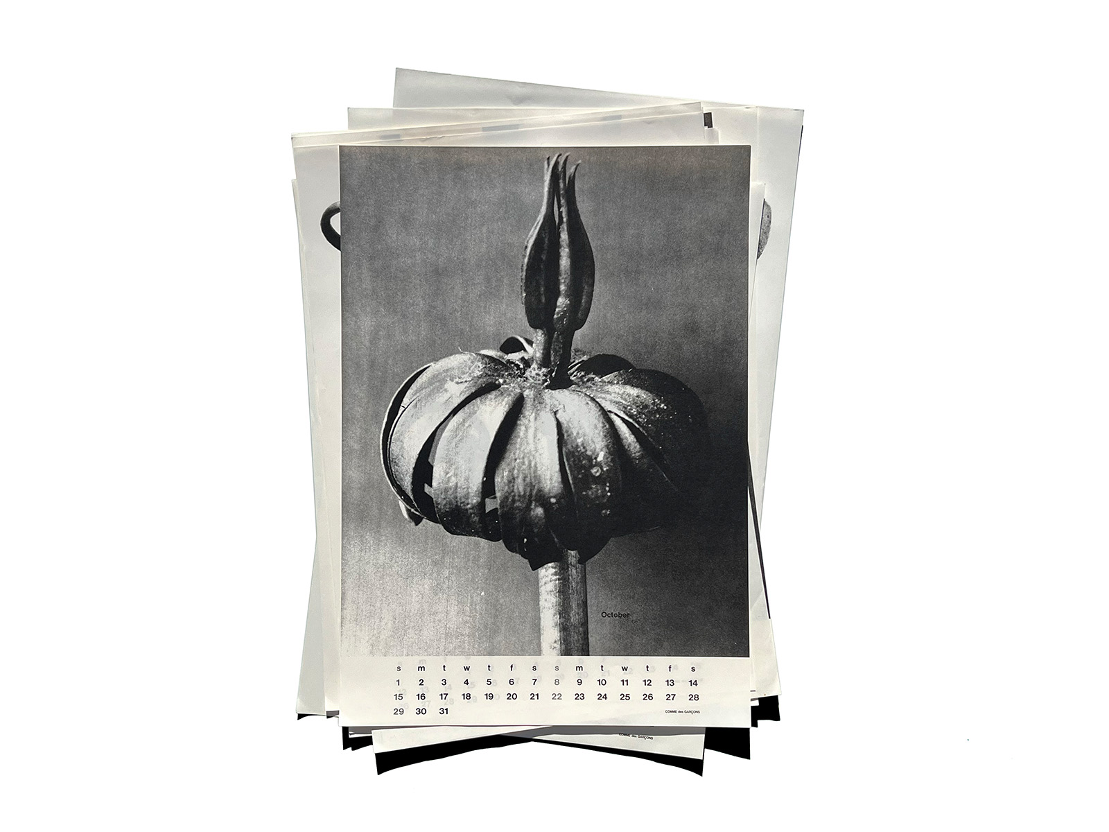 COMME des GARÇONS 1989 Calendar (Semi-Complete / January Missing