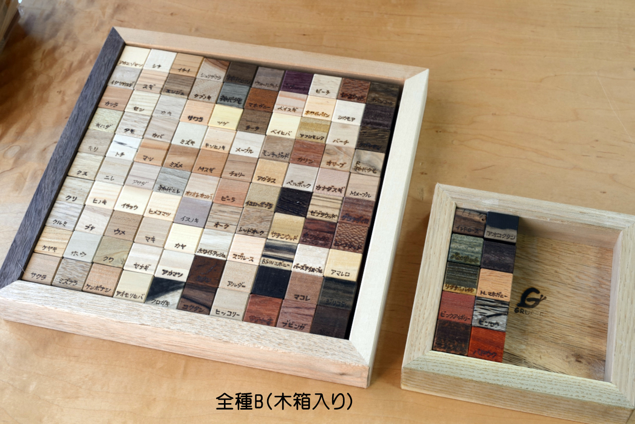 木の見本・樹種サンプル