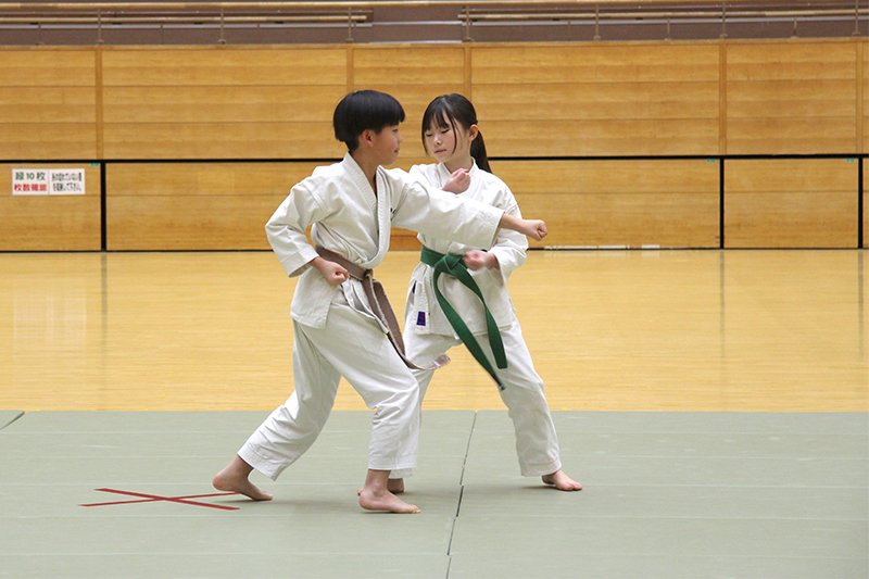 日本古伝正法 不動禅少林寺流拳法 博龍館 道場紹介 桜木分院