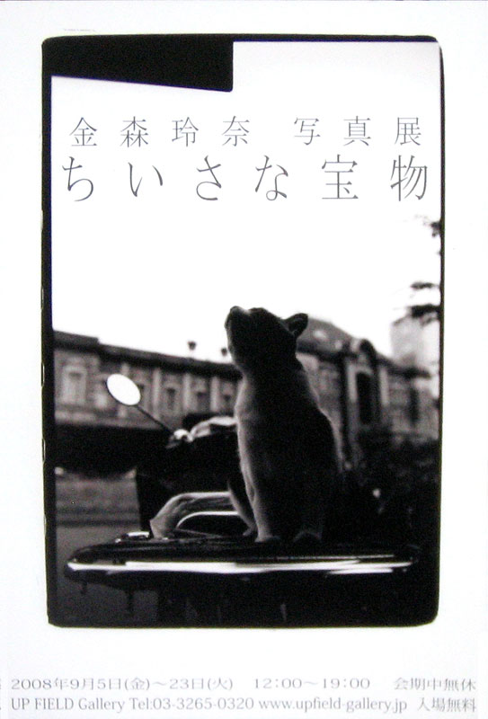 劔持敬子 個展 ガラスの森の猫たちII