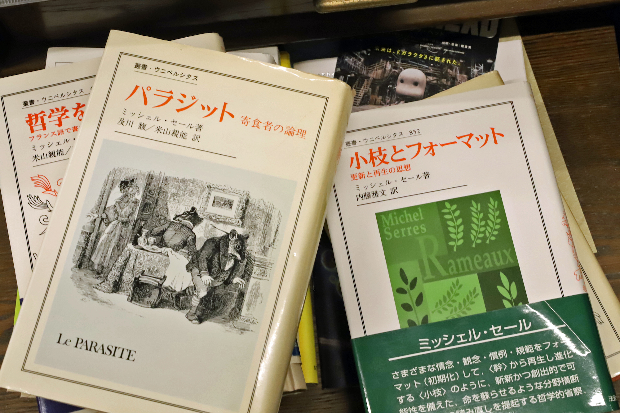 1770夜 『小枝とフォーマット』 ミシェル・セール − 松岡正剛の千夜千冊