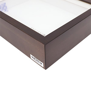 昆虫標本箱（ドイツ箱）