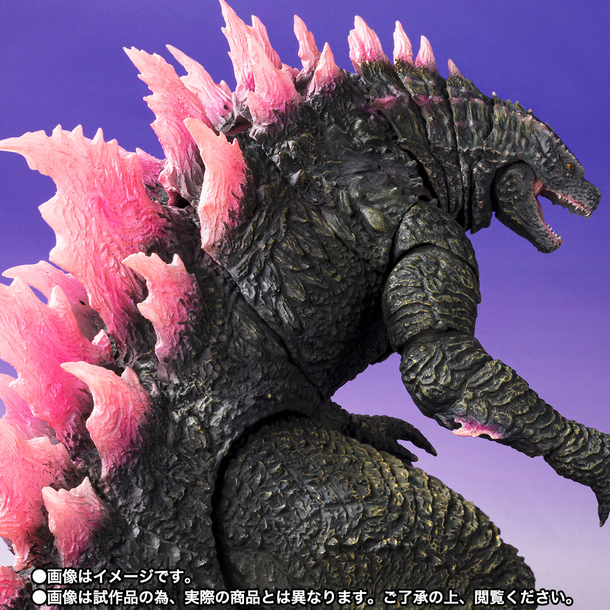 S.H.MonsterArts GODZILLA (2024) EVOLVED Ver. FROM GODZILLA × KONG