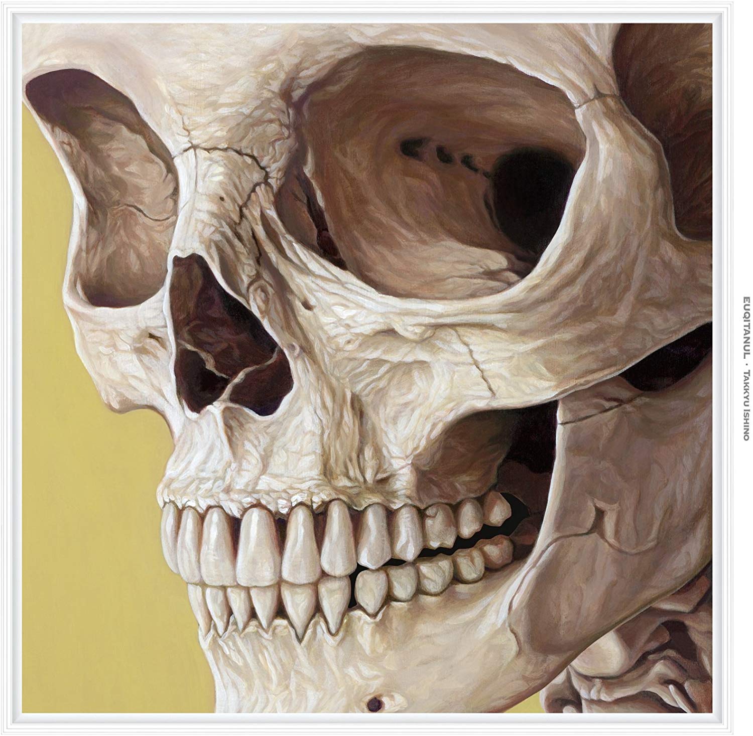 石野卓球 TAKKYU ISHINO DISCOGRAPHY ALBUM