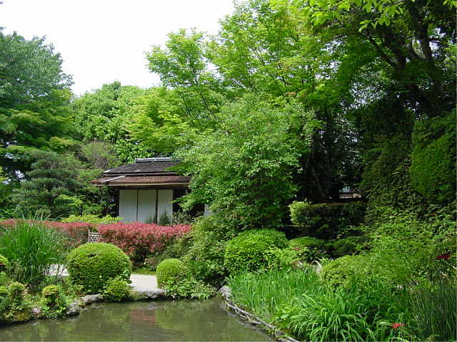 詩仙堂 丈山寺 Shisendo Jyozanji Temple 天空仙人の神社仏閣めぐり