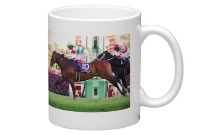 有馬記念優勝記念ソメスキーチェーン○エフフォーリア SOLD OUT