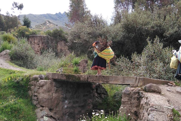 アルパカ専門店 T'IKA ティカ