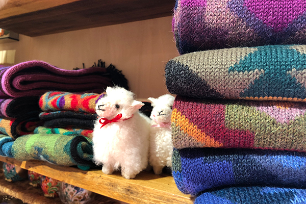 アルパカ専門店 T'IKA ティカ