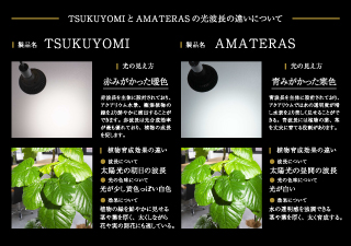 太陽光LED】NEO TSUKUYOMI LED-20W | 杜若園芸WEBショップ｜水草の生産