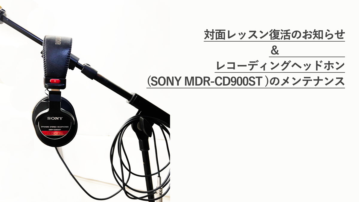 MDR-CD900ST/WR 石野卓球 奥田民生 WIRE限定モデル 【公式通販】