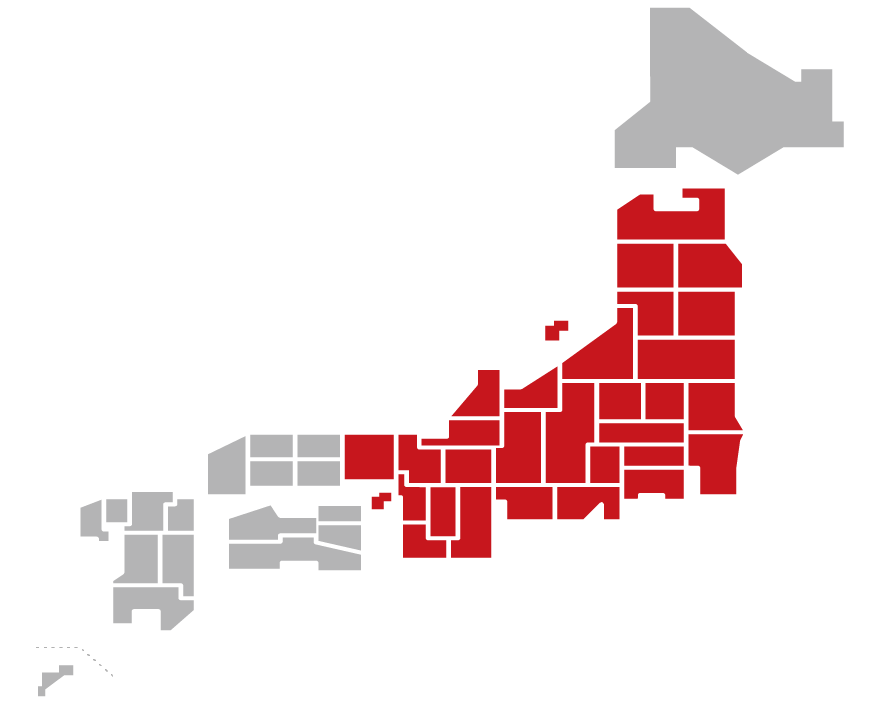 SCHOOL GIRL BYE BYE/NUMBER GIRL