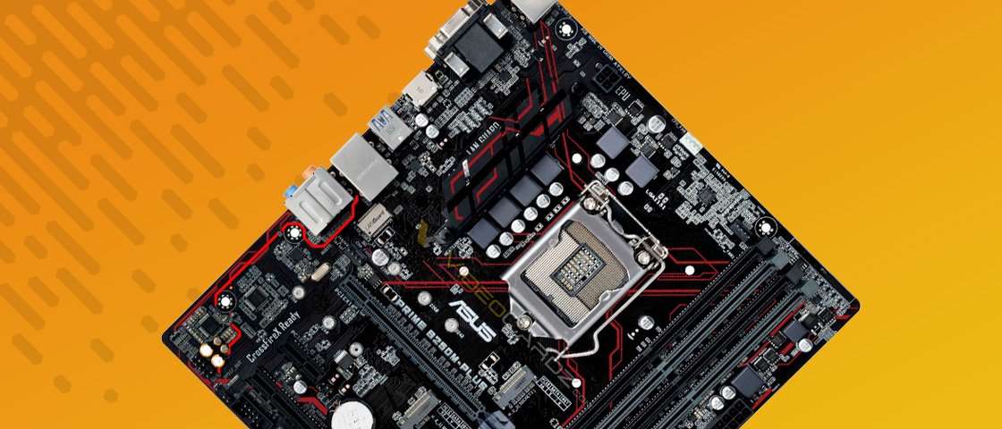 03200838030305.jpg?ims=1200x900