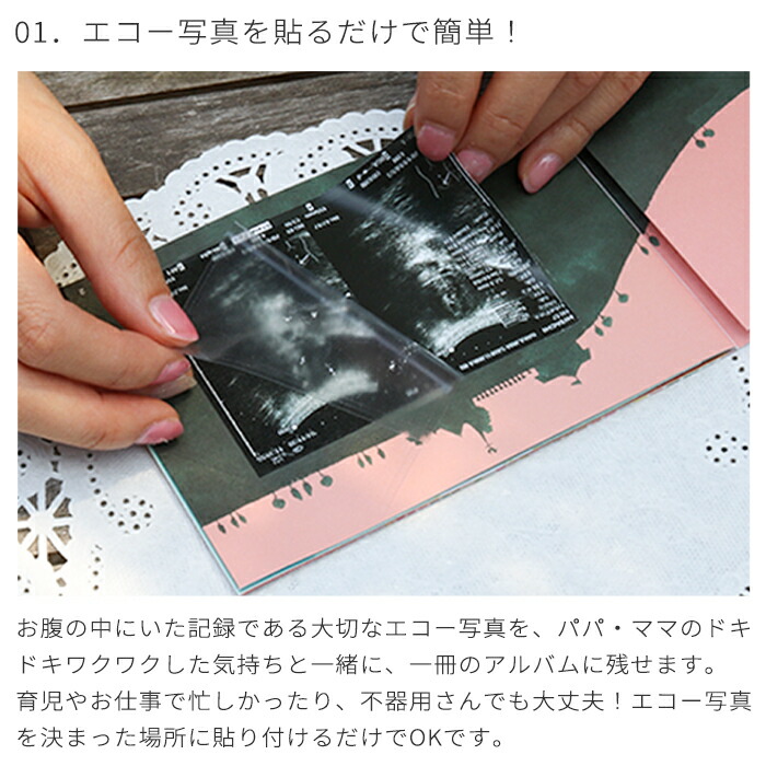 楽天市場】くまのがっこう エコー写真が収納できるアルバム 「10ツキ10