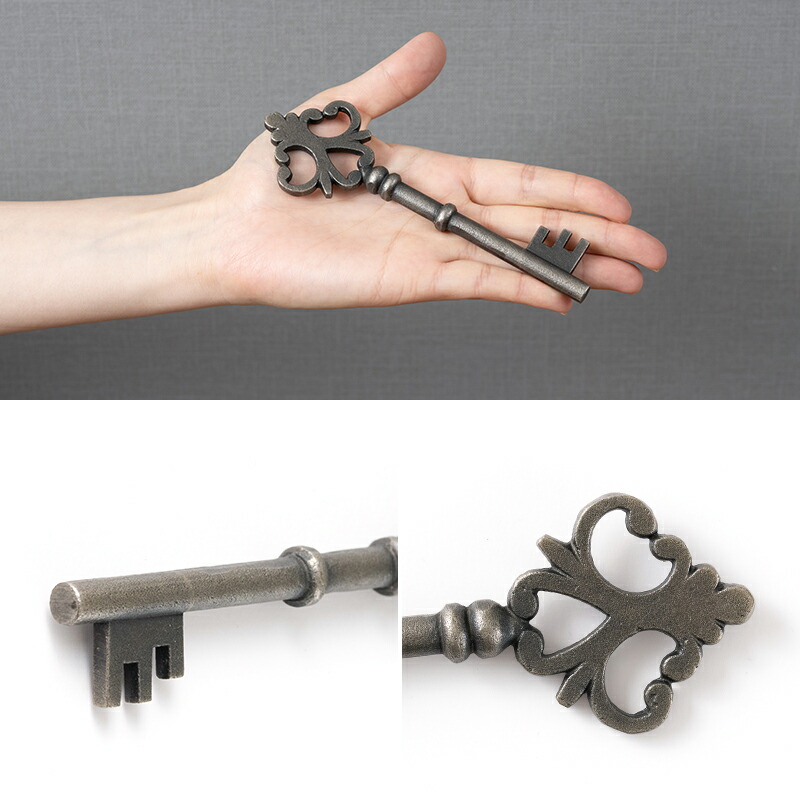 楽天市場】[全品10％OFF×10日限定クーポン+P10倍10日20時〜4H]アイアン