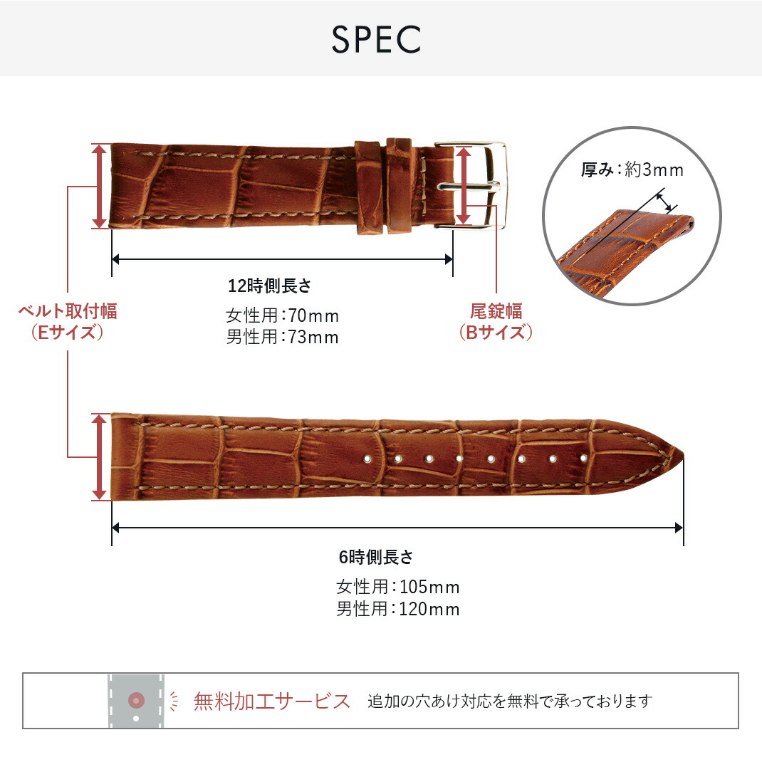 楽天市場】ハミルトン ジャズマスター 用 HAMILTON JazzMaster に