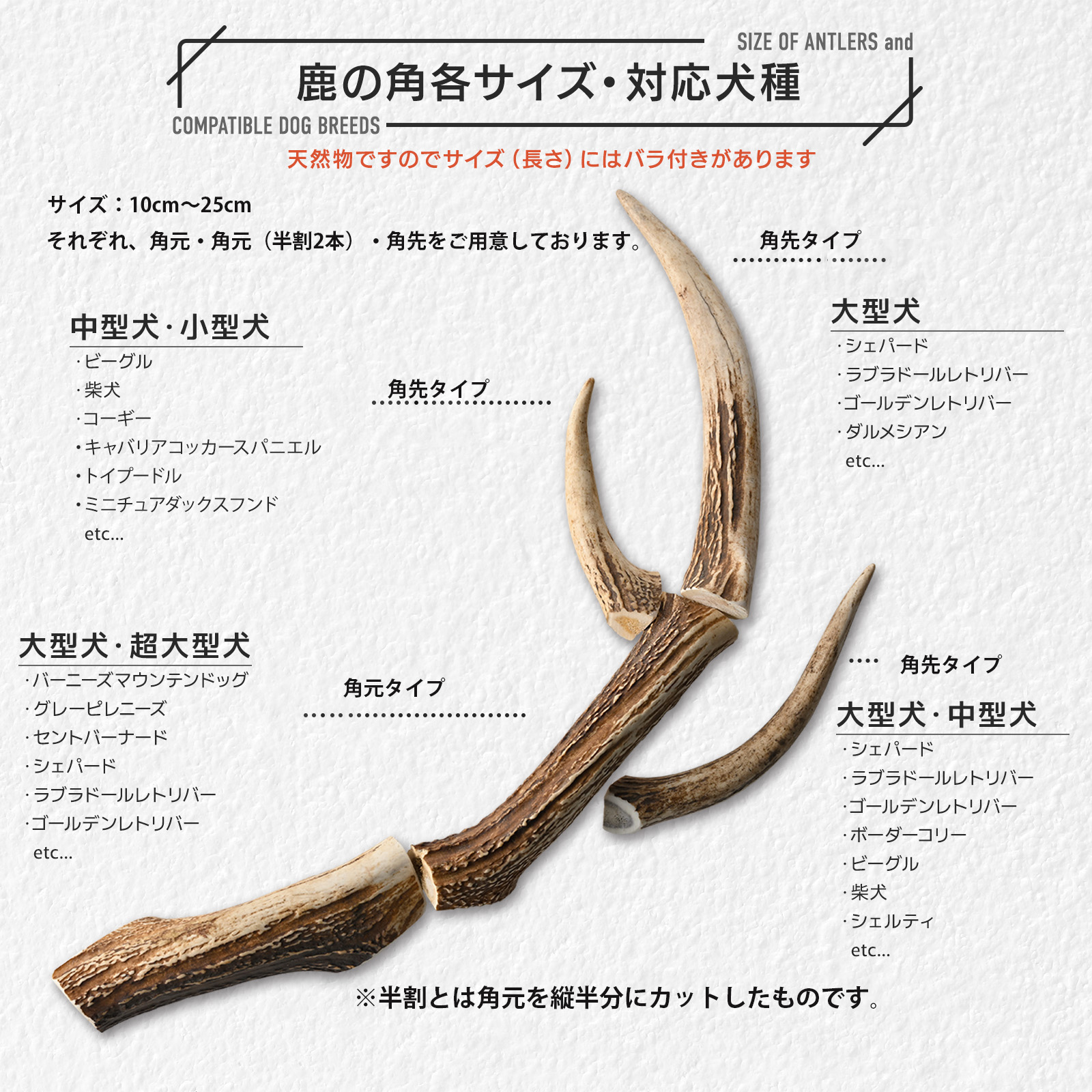 楽天市場】安心のオゾン処理加工◇犬のおもちゃ鹿の角 蝦夷鹿◇北海道