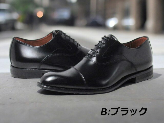 楽天市場】【P5倍!楽天SS期間!要エントリー】ケンフォード KENFORD