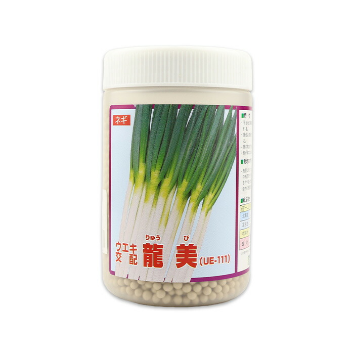 楽天市場】【ネギ】F1項羽一本太（THN160）〔トーホク交配〕/1dl