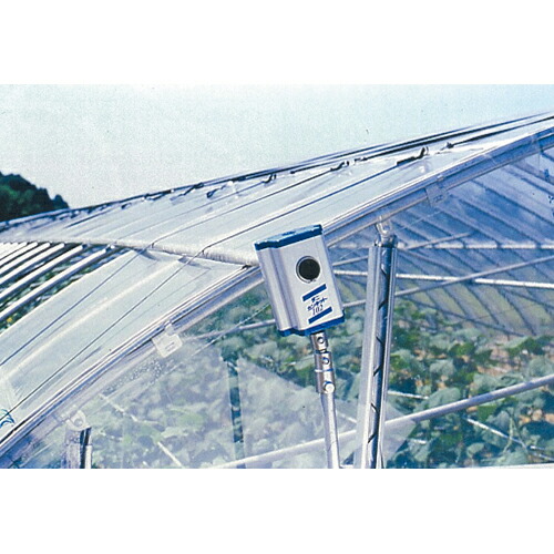 楽天市場】3/11までエントリーでお得！ポイント5倍！！ ニュータニカン