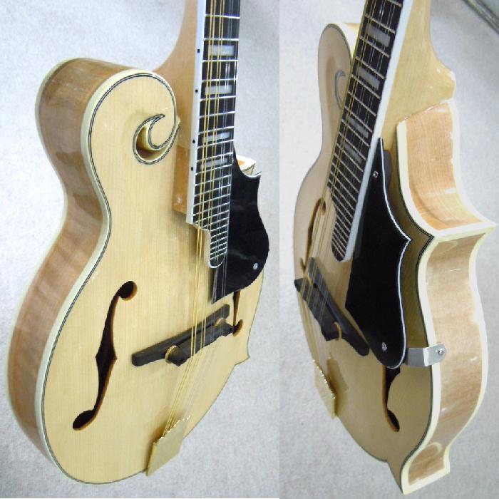 楽天市場】フラットマンドリンセット 憧れのギブソンモデル渦巻きF