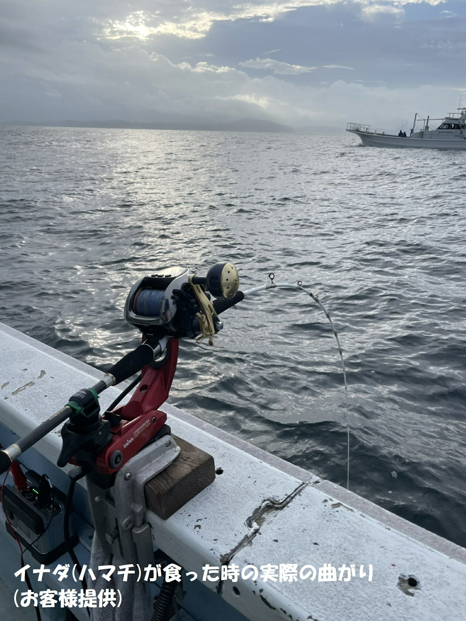 楽天市場】超軟調ムーチング真鯛 GokuEvolution サモトラケ250 (30-100