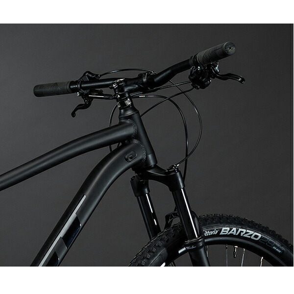 楽天市場】GT マウンテンバイク AVALANCHE EXPERT V2 29