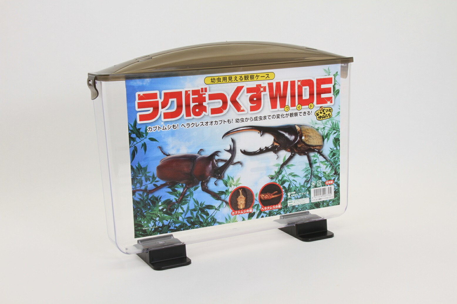 楽天市場】幼虫観察ケース ラクぼっくすWIDE 見える飼育ケース : 株式