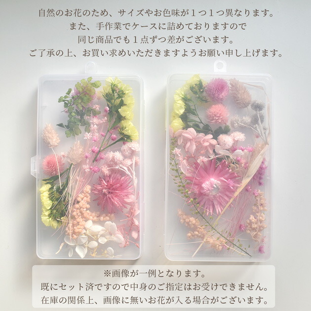 楽天市場】ドライフラワー 大地農園 アソート セット 全5種類 ケース付