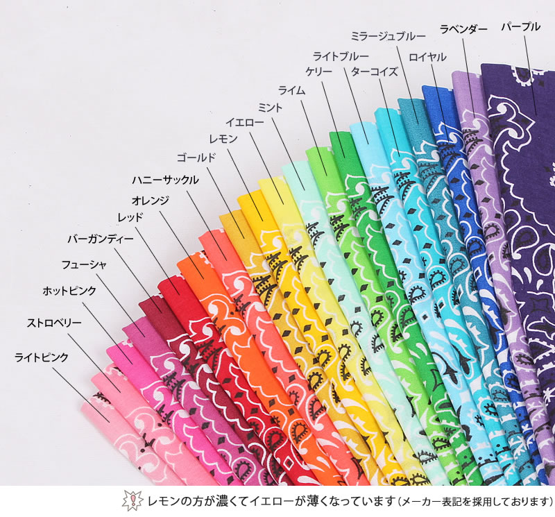 楽天市場】HAV-A-HANK ハバハンク バンダナ（ペイズリー）HAVAHANK-PAI