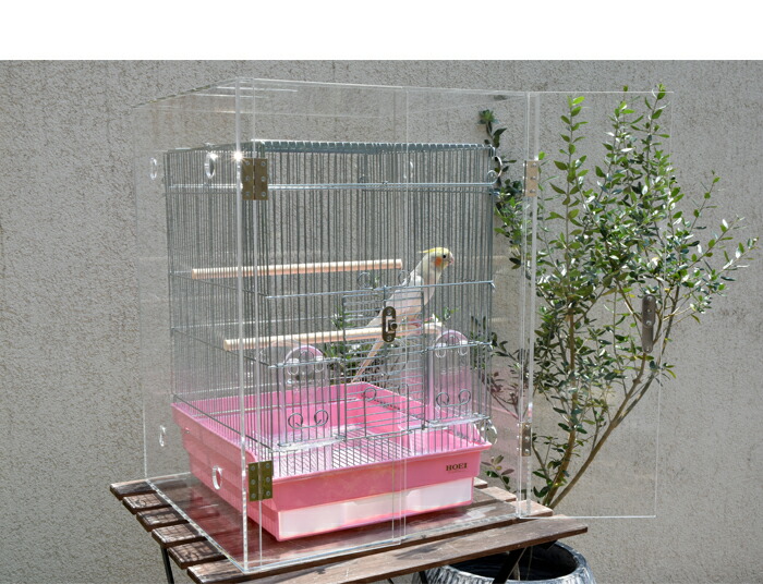楽天市場】【プレミアム】W500×H500×D485 アクリル バードケージ