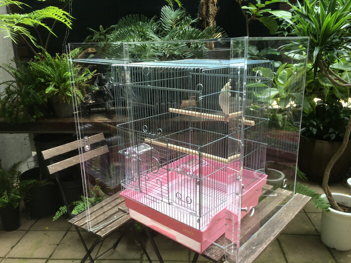 楽天市場】【プレミアム】W610×H680×D560 アクリルバードケージ[ワイド