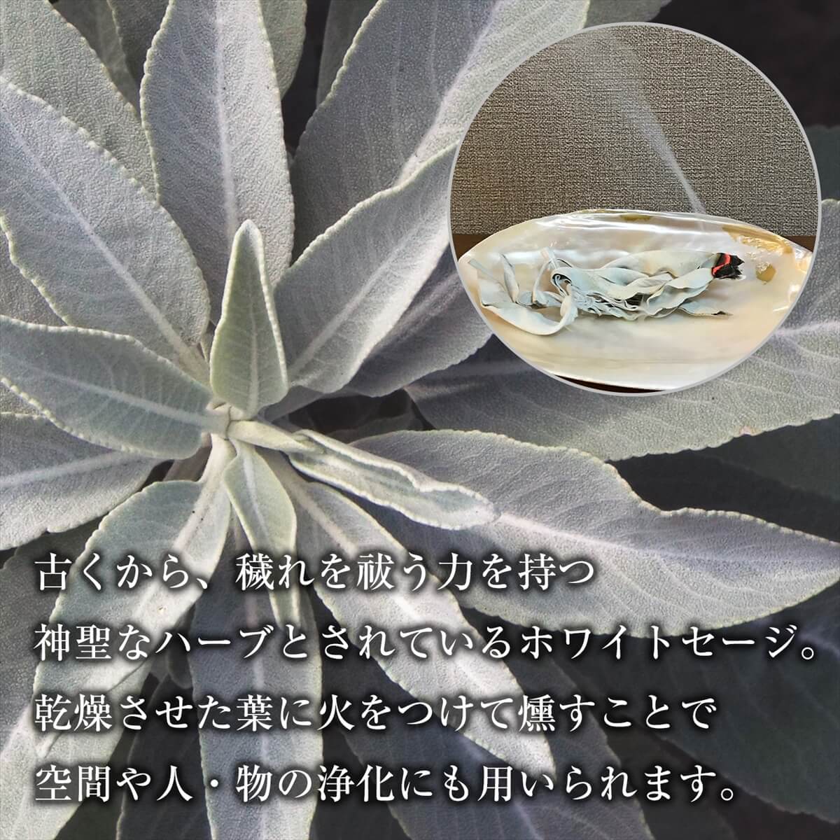 楽天市場】ホワイトセージ 浄化用 バンドル 1束 30g スティック 無
