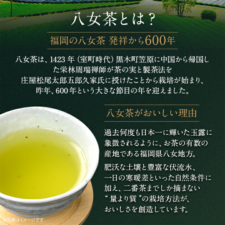 八女茶 緑茶(特上煎茶)750円20袋 クララです。 八女茶 緑茶(特上煎茶
