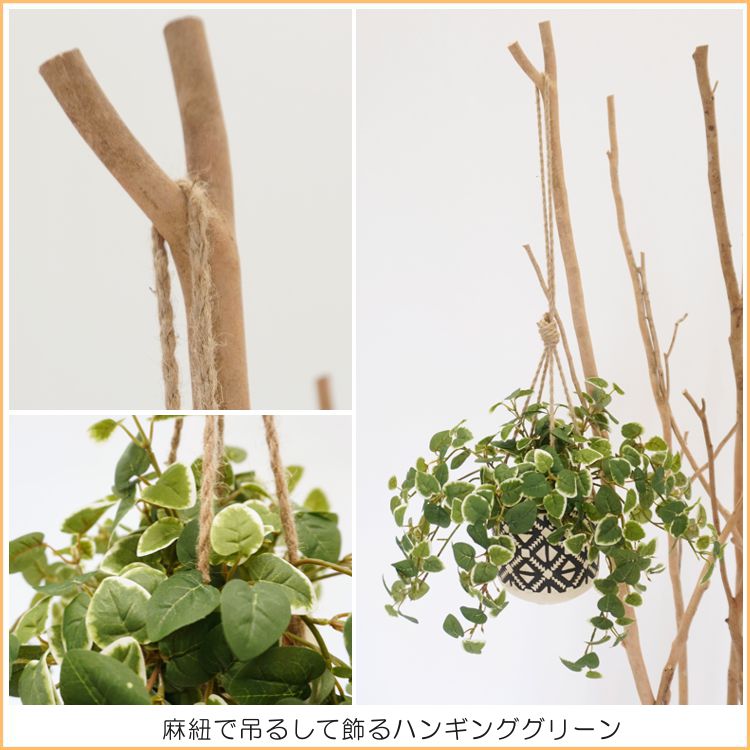 楽天市場】ハンギング グリーン D プミラ (造花 フェイクグリーン 吊り