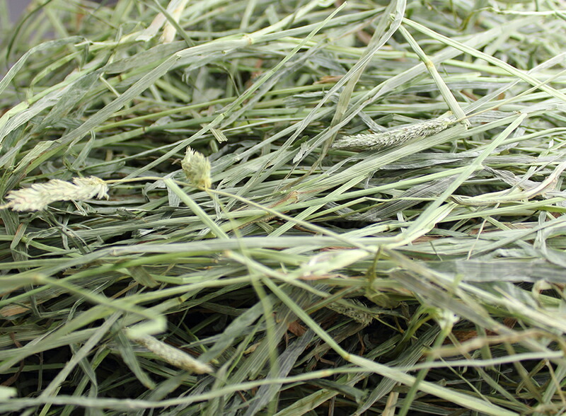 楽天市場】牧草市場 USチモシー2番刈り（プレミアム）牧草 ダブル