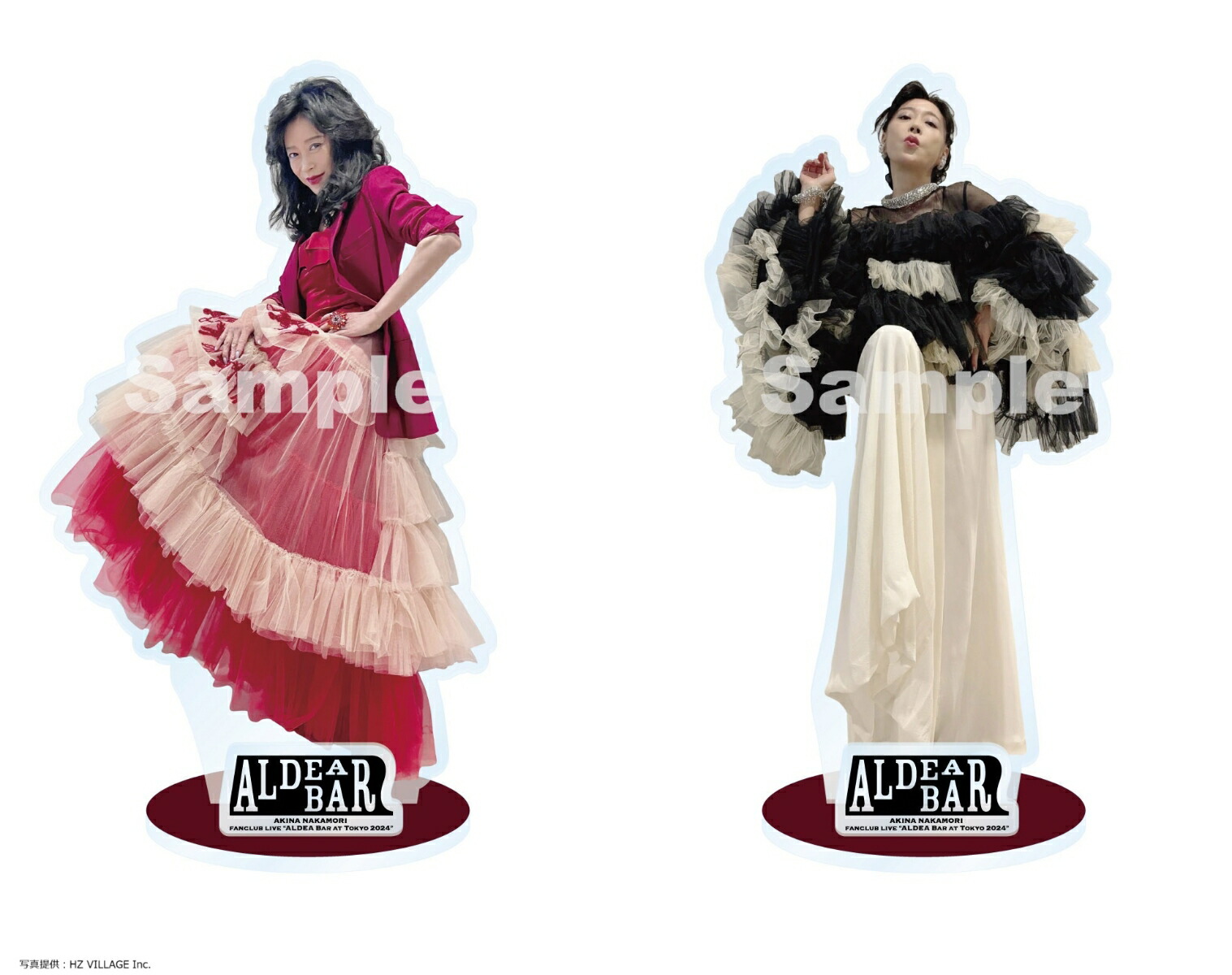 楽天ブックス: FANCLUB LIVE「ALDEA Bar at Tokyo 2024」完全生産限定